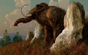 Mastodon: A mammoth standing among stones on a hillside