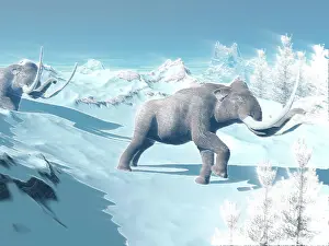 Blurred: Mammoths walking slowly on the snowy mountain against the ?