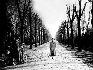 Cotten: THE THIRD MAN