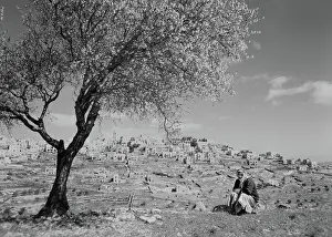 Matson: Man - Arab - rural - Bethlehem - West Bank