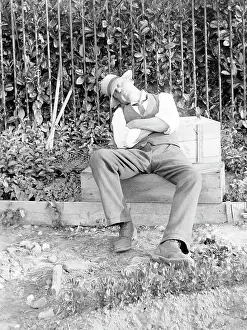 Clippers: Man asleep in a garden, Mid Wales