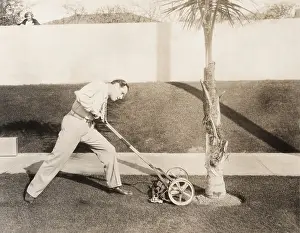 Ov1606: Man attacking palm tree with lawn mower