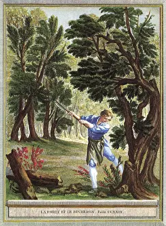 Wields: Man Axing Tree