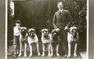Wrinkled: Man and boy with five large boxer dogs