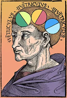 Albertus: Man with Brain Ventricles, Albertus Magnus