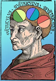 Albertus: Man with Brain Ventricles, Albertus Magnus