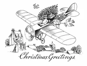 Haywood: Man bringing presents by aeroplane