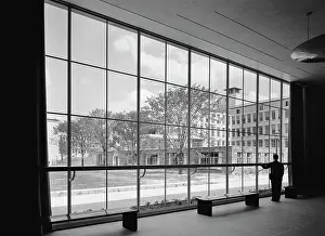 Schleisner: Man - Business - Office - Window