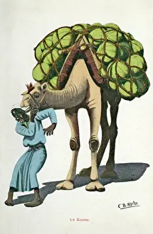 Unwelcome: A man and his camel in Egypt