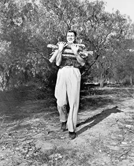 Employ: Man carrying firewood