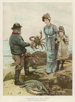 Crabs: MAN CATCHES CRAB/1882