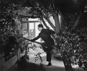 Sneaking: Man climbing tree party crashing