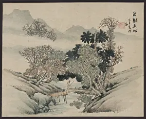 Overhanging: A man crossing a bridge beneath overhanging trees