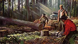 Chainsaw: Man Cutting Tree