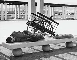 Siesta: Man and dog enjoy a siesta