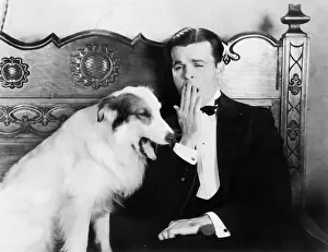 Exhausting: Man and dog sitting together yawning
