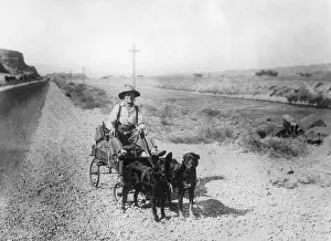Man with dog team, 1933