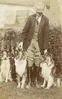 Collies: Man with three dogs in a garden