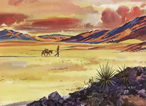 Deserts: Man and Donkey walk across Desert