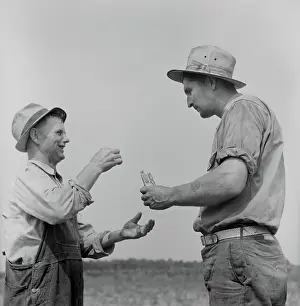 Nicotine: Man - Farmer - Agriculture - Occupations