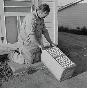 Wolcott: Man - Farmer - Eggs - Occupations