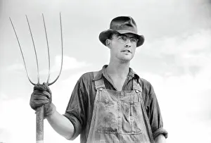 Homesteader: Man - farmer - homesteader - occupations