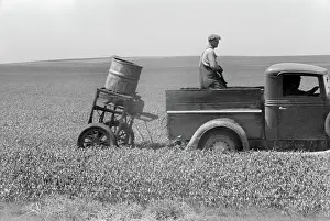 Bait: Man - Farmer - Occupations - Agriculture