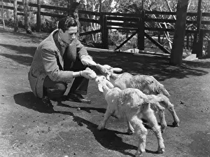 Squat: Man feeding two baby goats