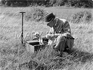 Ferret: Man in a field with two ferrets