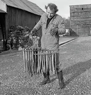 Smoked: Man with fish for smoking