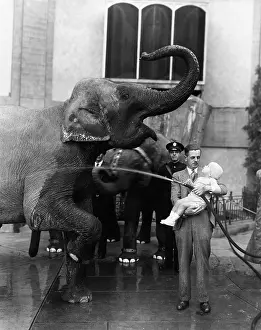 Circuses: Man holding child and washing elephant