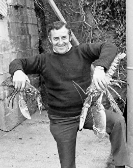 Lobsters: Man holding two large lobsters