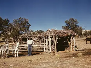 Homesteader: Man - homesteader - barn - farm