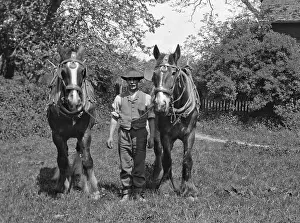 Blinkers: Man with two horses in a field