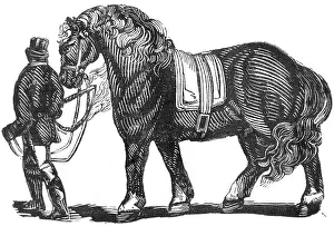 Jul17: Man leading a horse, c.1810
