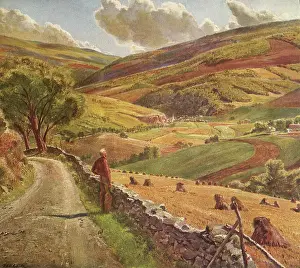 Leisurely: Man looks over Rural Valley