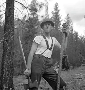 Lumberjack: Man - Lumberjack - Occupations - Worker