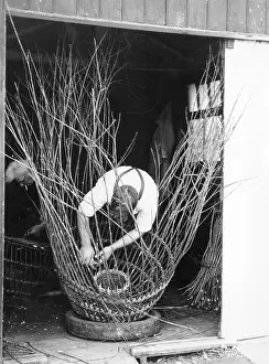 Withies: Man making lobster pot at Beesands, Start Bay, Devon