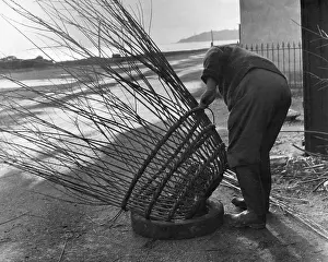 Withies: Man making lobster pot at Beesands, Start Bay, Devon