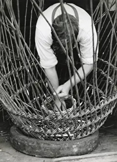 Withies: Man making lobster pot at Beesands, Start Bay, Devon