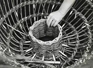 Withies: Man making lobster pot at Beesands, Start Bay, Devon