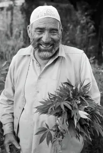 Wacky: Man with marijuana