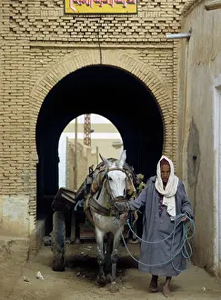 Brickwork: Man with mule cart, Neft, Tunisia
