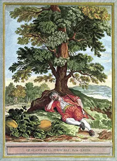 Pumpkins: Man Naps Near Pumpkins