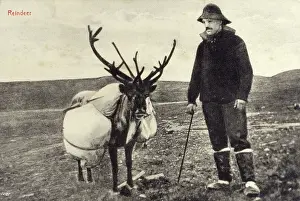 Panniers: Man from Newfoundland and Labrador with reindeer