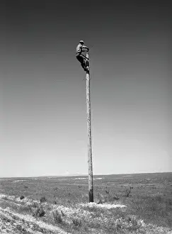 Lineman: man - occupations - employment and labor - lineman