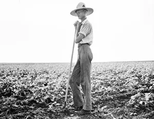 Information Us: Man - Occupations - Farmer - Agriculture