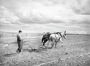 Harrowing: man - occupations - farmer - agriculture