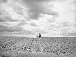Furrows: man - occupations - farmer - agriculture