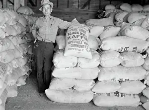 Kaffir: Man - Occupations - Farmer - Rural